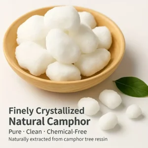 Fragranza canfora naturale 30g purificazione aria yoga meditazione relax