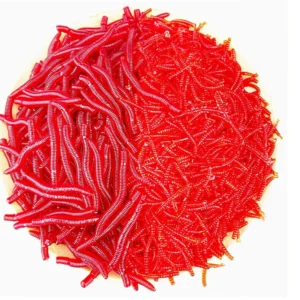 Granuli esca rossa pesca palla attraente bass carpe divertimento universale