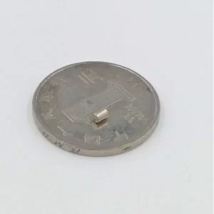 10 Magneti Neodimio 2X3 Mm Calamita Potente Fimo Ceramica Magnete Calamite