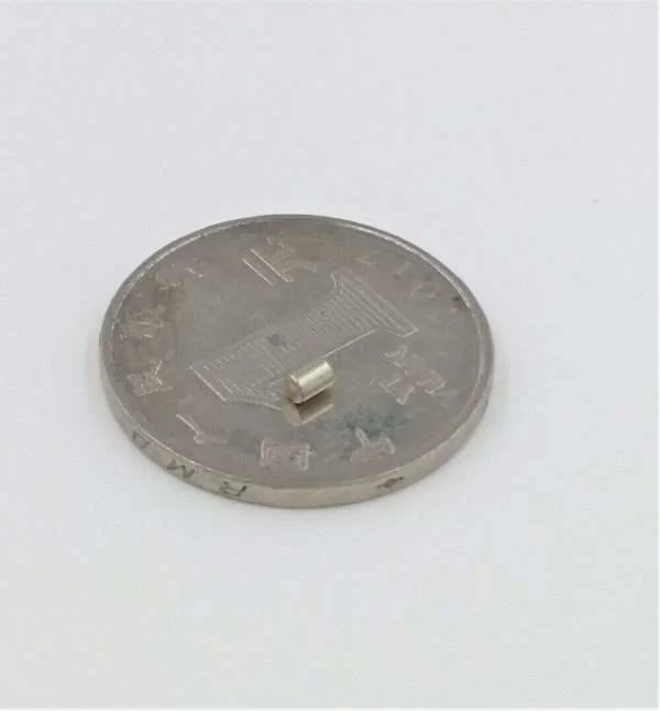 10 Magneti Neodimio 2X3 Mm Calamita Potente Fimo Ceramica Magnete Calamite