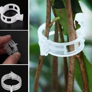 40 Pezzi Supporto Pianta Pinze Innesto E Fissaggio Piante Giardinaggio Strumento