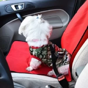 Cintura Di Sicurezza Per Cani Cane Guinzaglio Regolabile Auto Universale